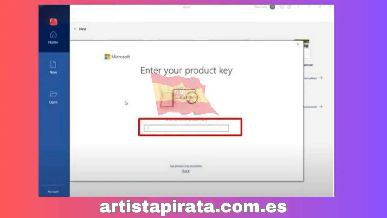 Ingrese la clave de Office 2021 en el cuadro en blanco
