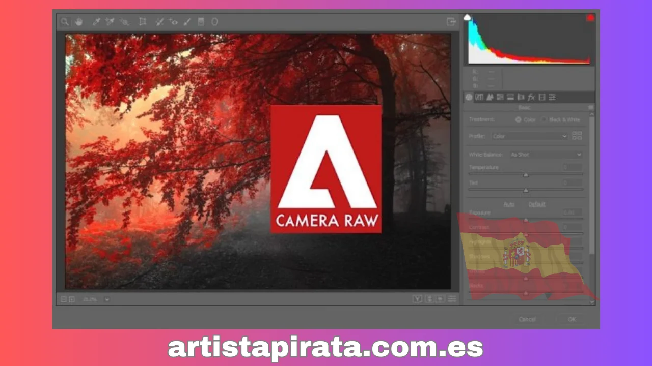 Adobe Camera Raw