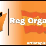 Descargar Reg Organizer