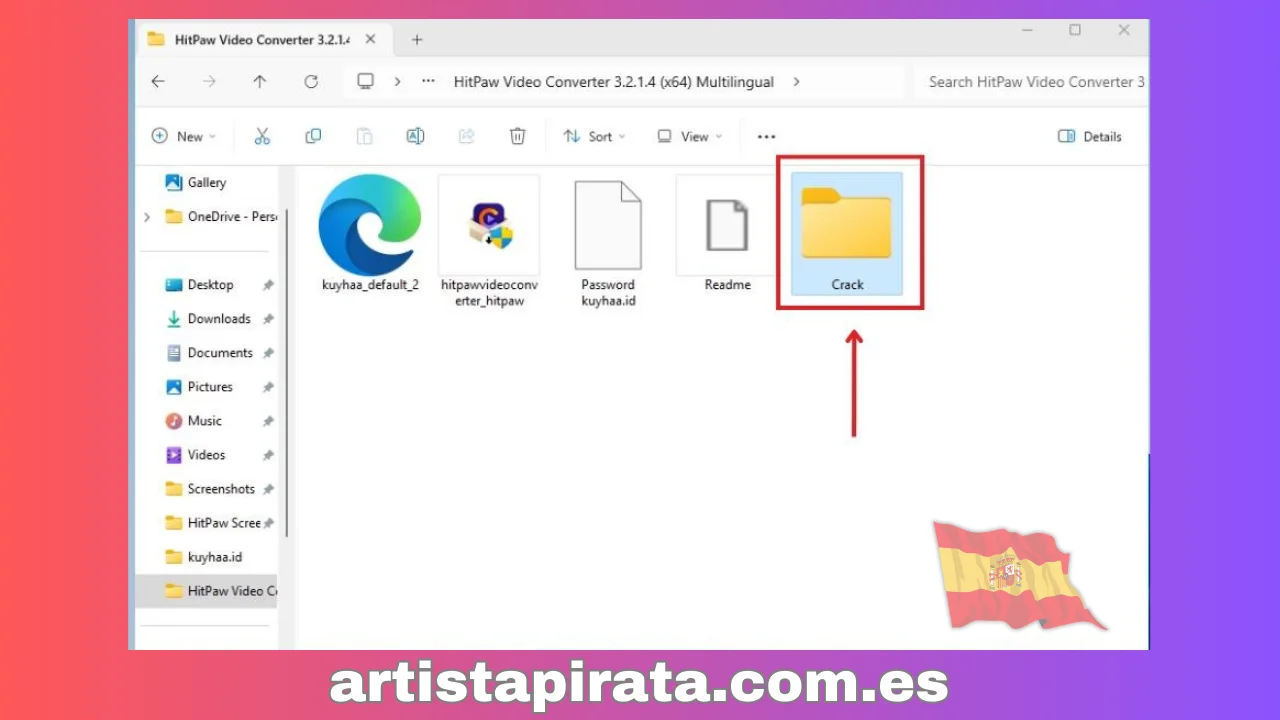 HitPaw Video Converter Paso 10