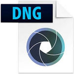 Adobe DNG Converter Descargar Gratis